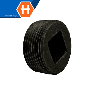 Bouchon tête allen #150 - acier noir - M.NPT