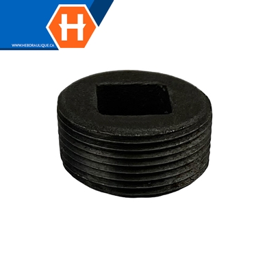 Bouchon tête allen #150 - acier noir - M.NPT
